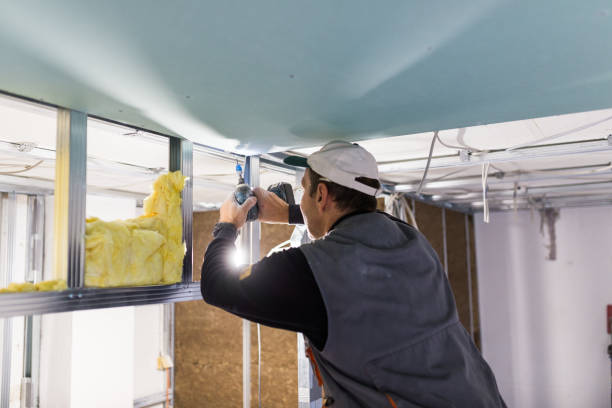 Best Insulation for Specific Applications in Oakleaf Plantation, FL