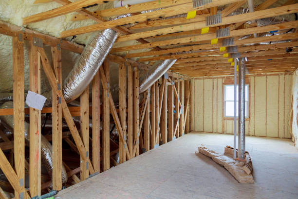 Best Types of Insulation in Oakleaf Plantation, FL