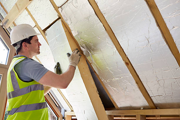 Best Insulation Maintenance and Repair in Oakleaf Plantation, FL